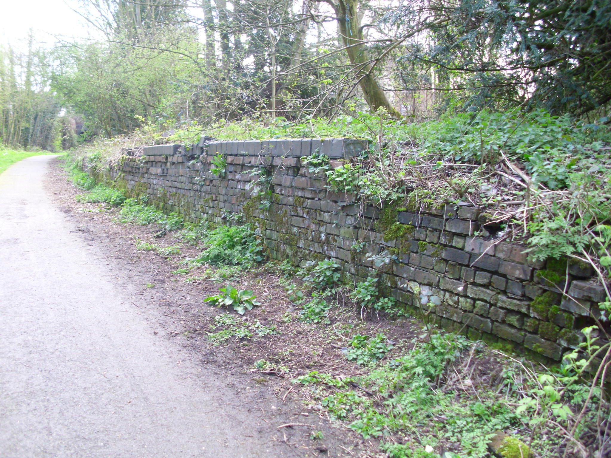 Walking the CFR Intro